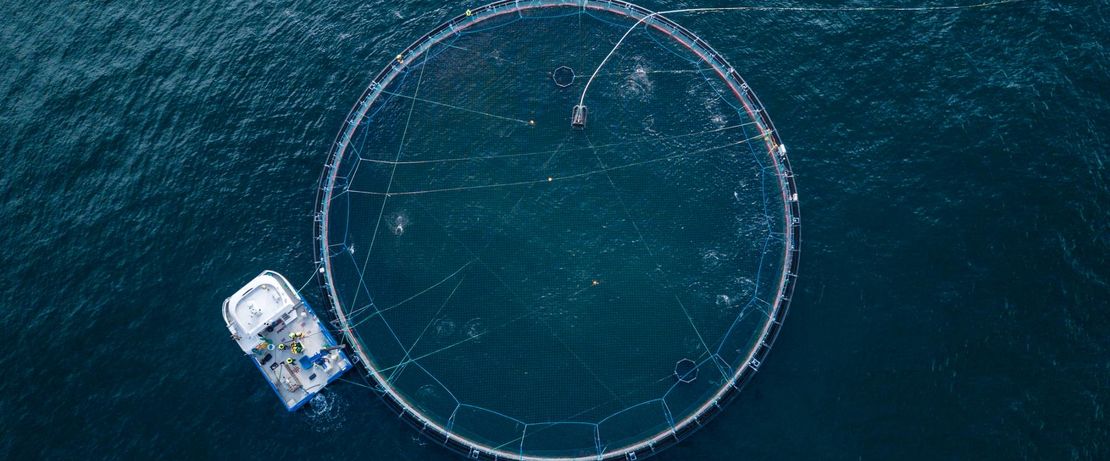 Der steigende Fischverzehr weltweit wird zunehmend aus Aquakulturen bedient.