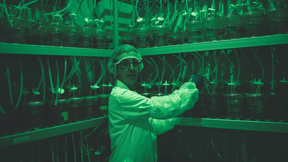 Im Labor können hochkonzentrierte, wirksame Stoffe hergestellt werden – und zwar biotechnologisch und damit reproduzierbar.