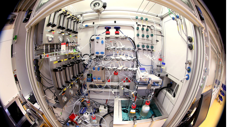 In einer Fermentation – hier im Labormaßstab – verwandeln spezielle Bakterien CO-haltige Gase durch Stoffwechselprozesse in wertvolle Chemikalien.