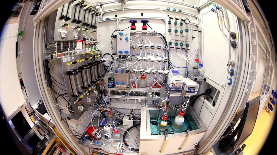 In einer Fermentation – hier im Labormaßstab – verwandeln spezielle Bakterien CO-haltige Gase durch Stoffwechselprozesse in wertvolle Chemikalien. (Quelle: Evonik)