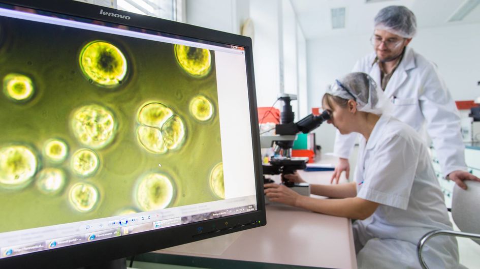 Alle neuen biotechnologischen Prozesse kommen auf dem Weg von der Verfahrensentwicklung im Labor zur Fertigung im industriellen Maßstab nach Slovenská Ľupča.