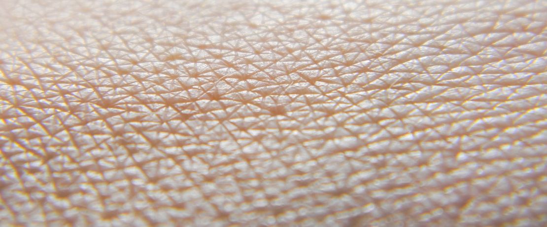 Die Technologie von Revivo nutzt ein Modell der menschlichen Haut, um kosmetische, pharmazeutische und chemische Substanzen zu testen. (Foto: istock / VolodymyrV)