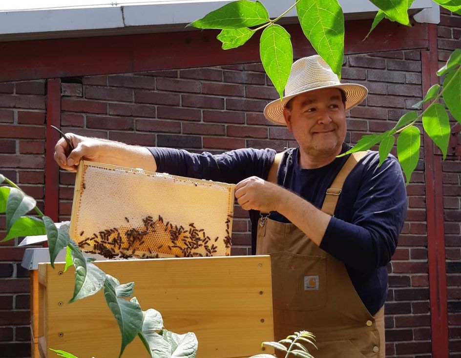 Imker Udo Drees prüft die eingebrachte Sommertracht seiner fleißigen Bienen. Foto: Evonik