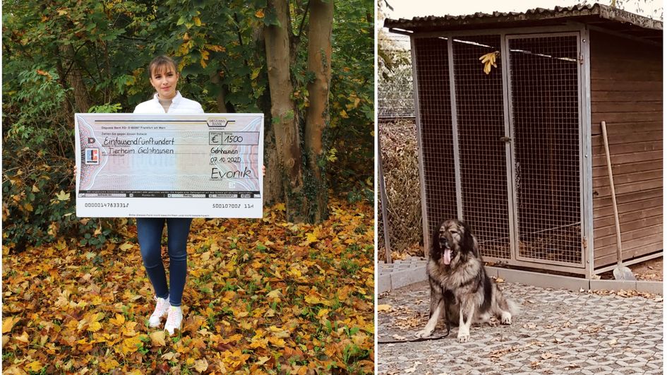 
Auszubildende Aleksandra Dobos überbringt den Spendenscheck für Loki und sein „Rudel“ im Tierheim Gelnhausen. Fotos: Evonik Industries (links)/Tierheim Gelnhausen (rechts)