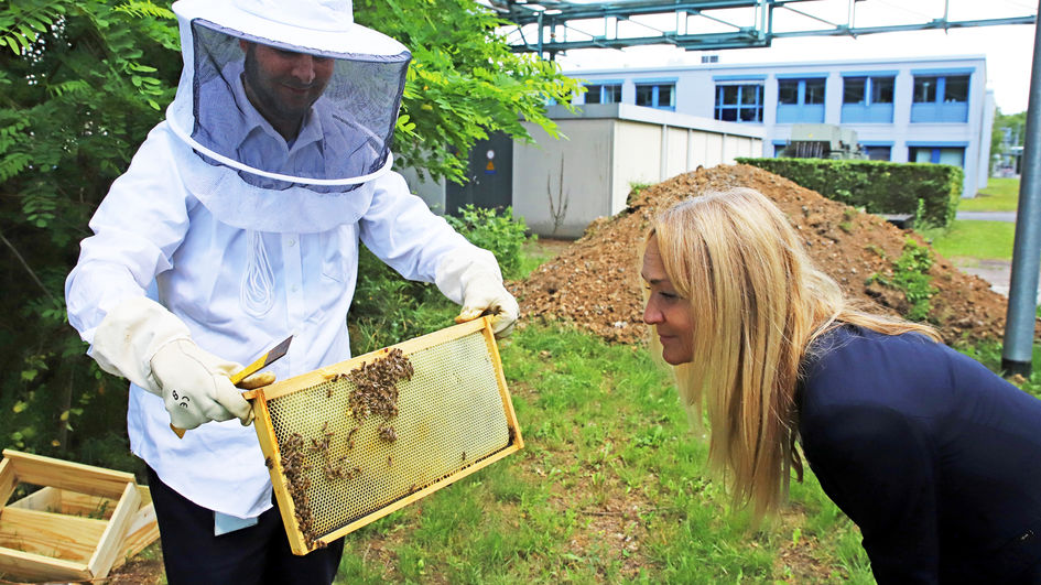 Standortleiterin Kerstin Oberhaus freut sich schon auf den ersten Honig aus dem Industriepark.
 