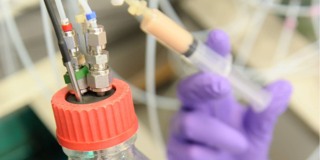 Bioreactors for laboratory-scale experiments. Source: Evonik Industries AG