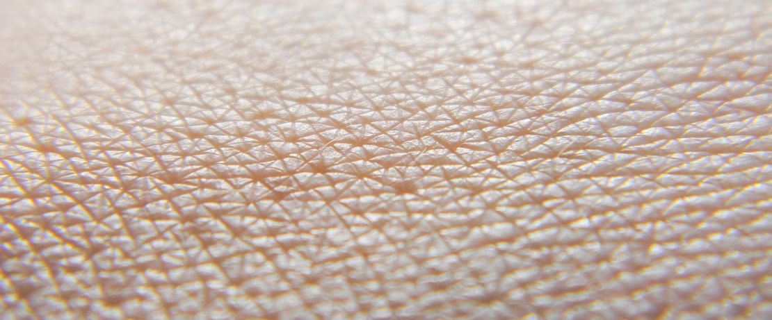 The technology of Revivo uses a model of human skin for the testing of chemical, cosmetic and pharmaceutical compounds. (Photo: istock / VolodymyrV) 